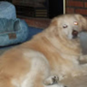 Meet your Posher, Rosemarie